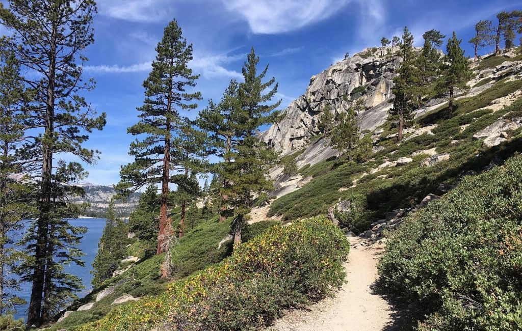 Cómo caminar por el sendero Tahoe Rim: la guía COMPLETA