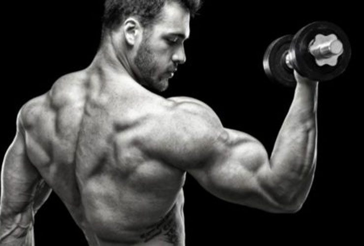 5 rasgos masculinos alfa para tener dentro del gimnasio y en la vida