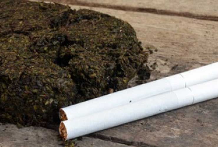¿Fumar marihuana y hacer gimnasia van de la mano?