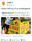Swiggy se disculpa por mostrar 'Rohit Sharma Dive Into Vada Pav Stall' después de que los fanáticos instaran al boicot