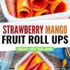 Cueros de frutas de fresa y mango teñido anudado