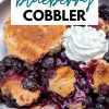 Cobbler di mirtilli al forno olandese