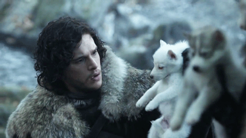 'Game Of Thrones' Hayranları ve George R.R. Martin Gerçek Hayaletin Ölümünün Yasını Tutuyor