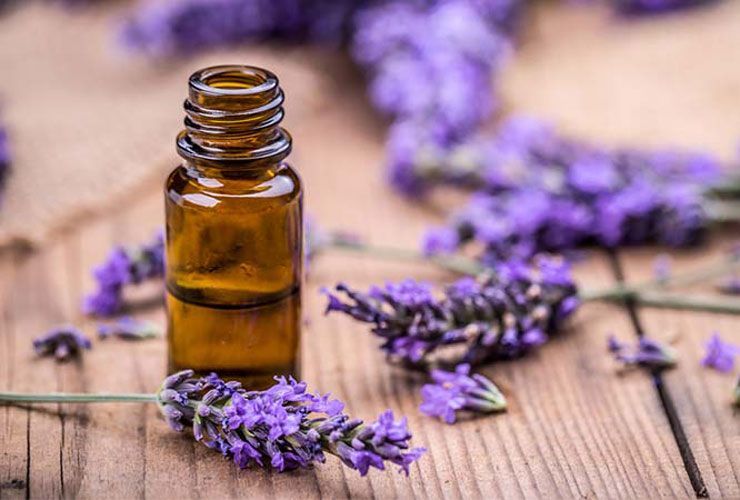 5 remedios caseros para que los hombres se deshagan de los pozos apestosos que ahuyentan a las mujeres